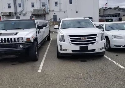 Professional Limousine Company